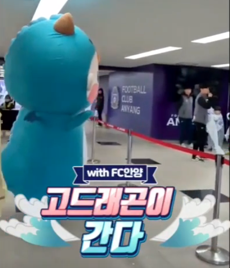 [안양] (영상)안양FC에 고드래곤이 떴다! 